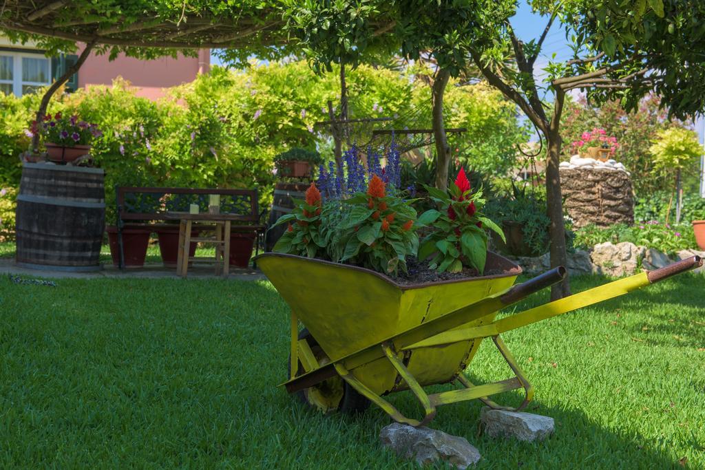 Hotel apartamentowy Othonas Sidari (Corfu)